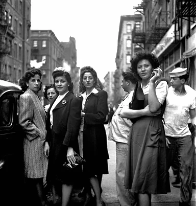 Fred Stein